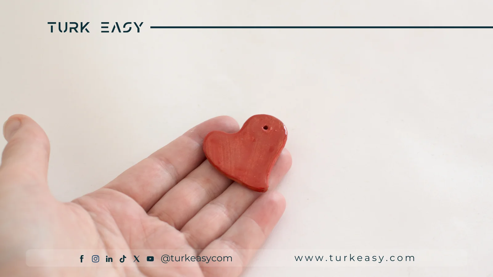 Трансплантация органа 2024 | Turk Easy