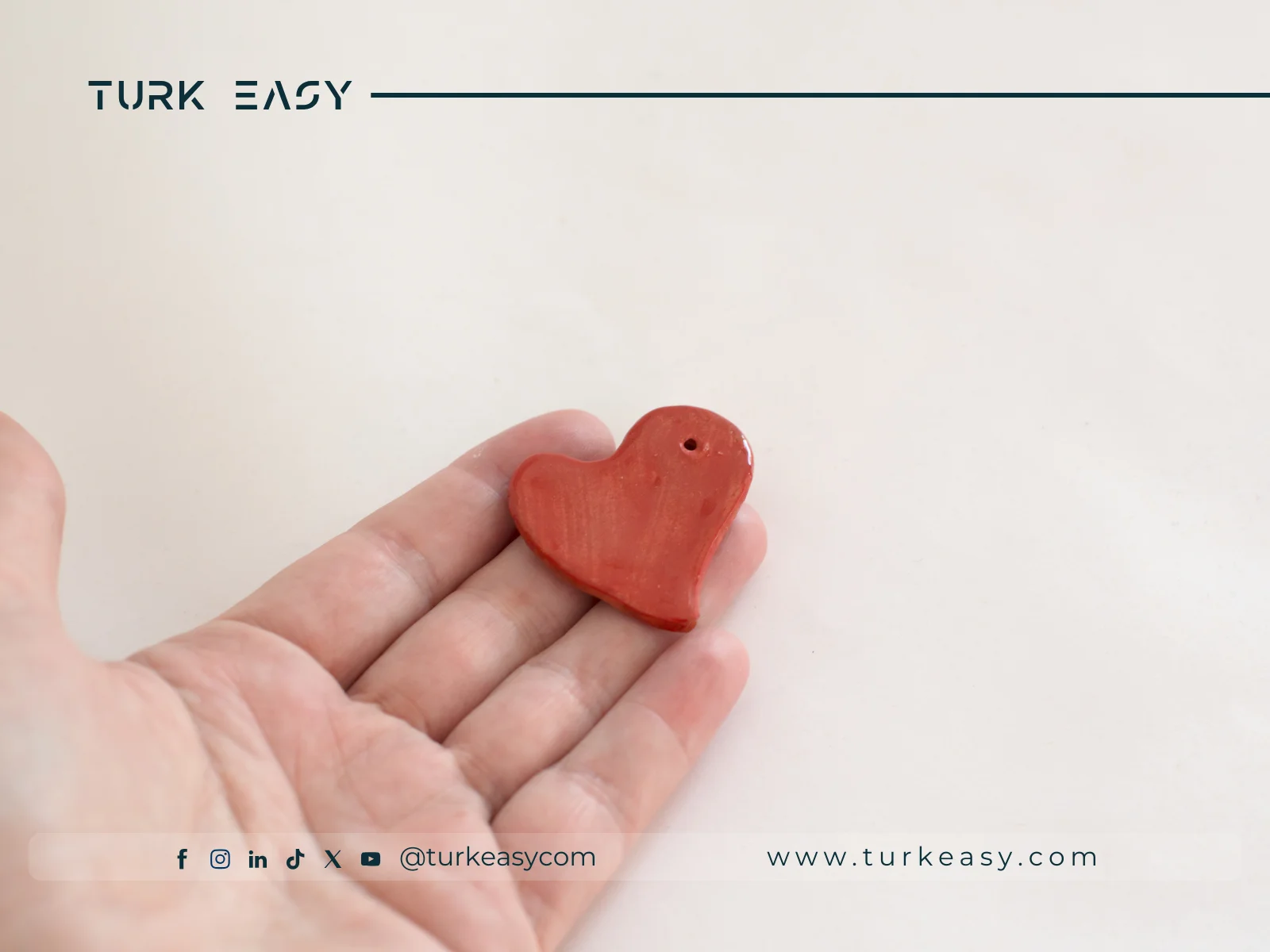 Пересадка органів 2024 | Turk Easy