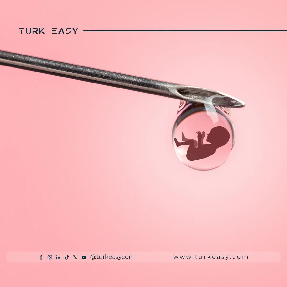 Tüp Bebekler 2024 | Turk Easy
