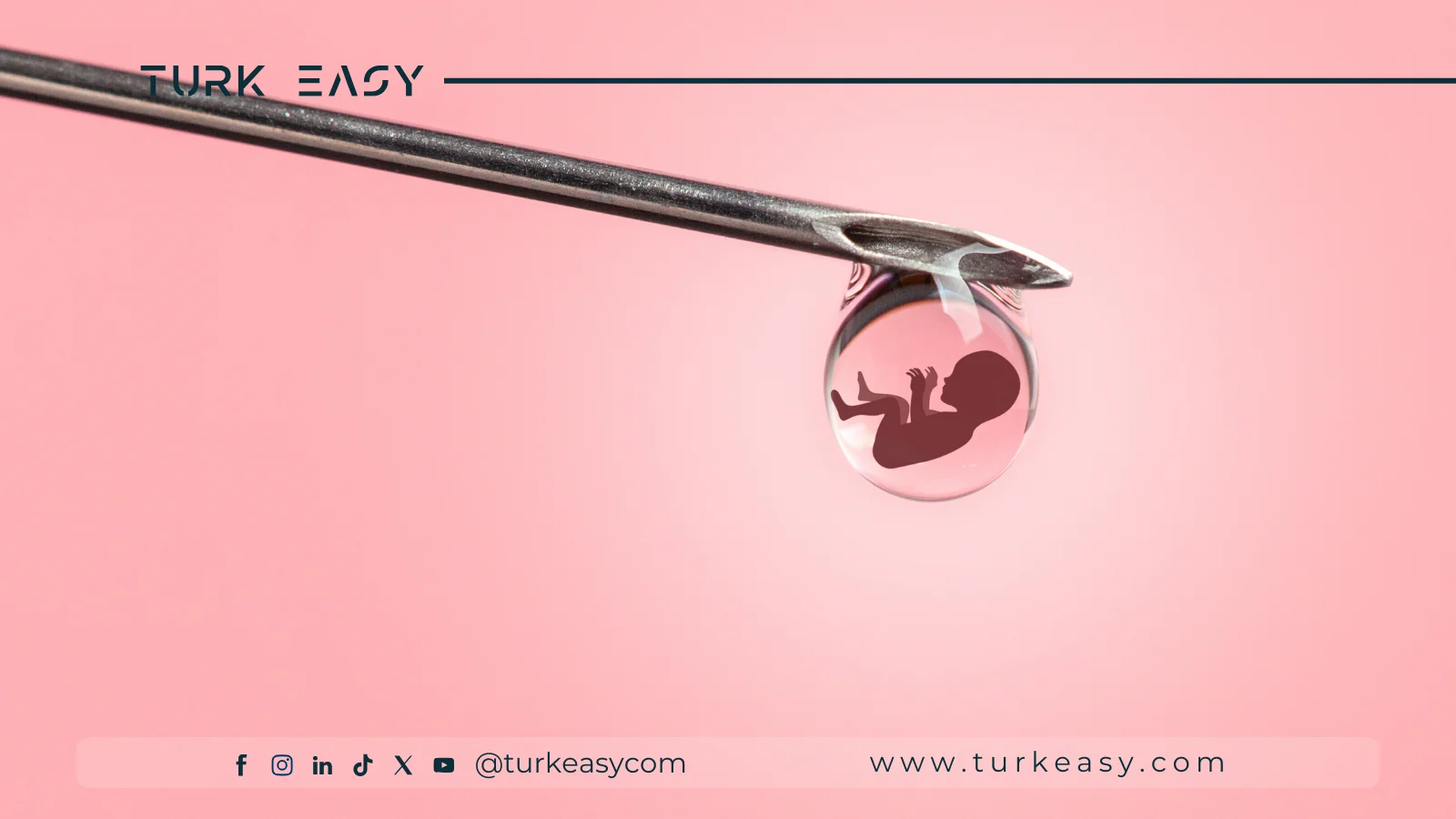 Bébés éprouvettes 2024 | Turk Easy