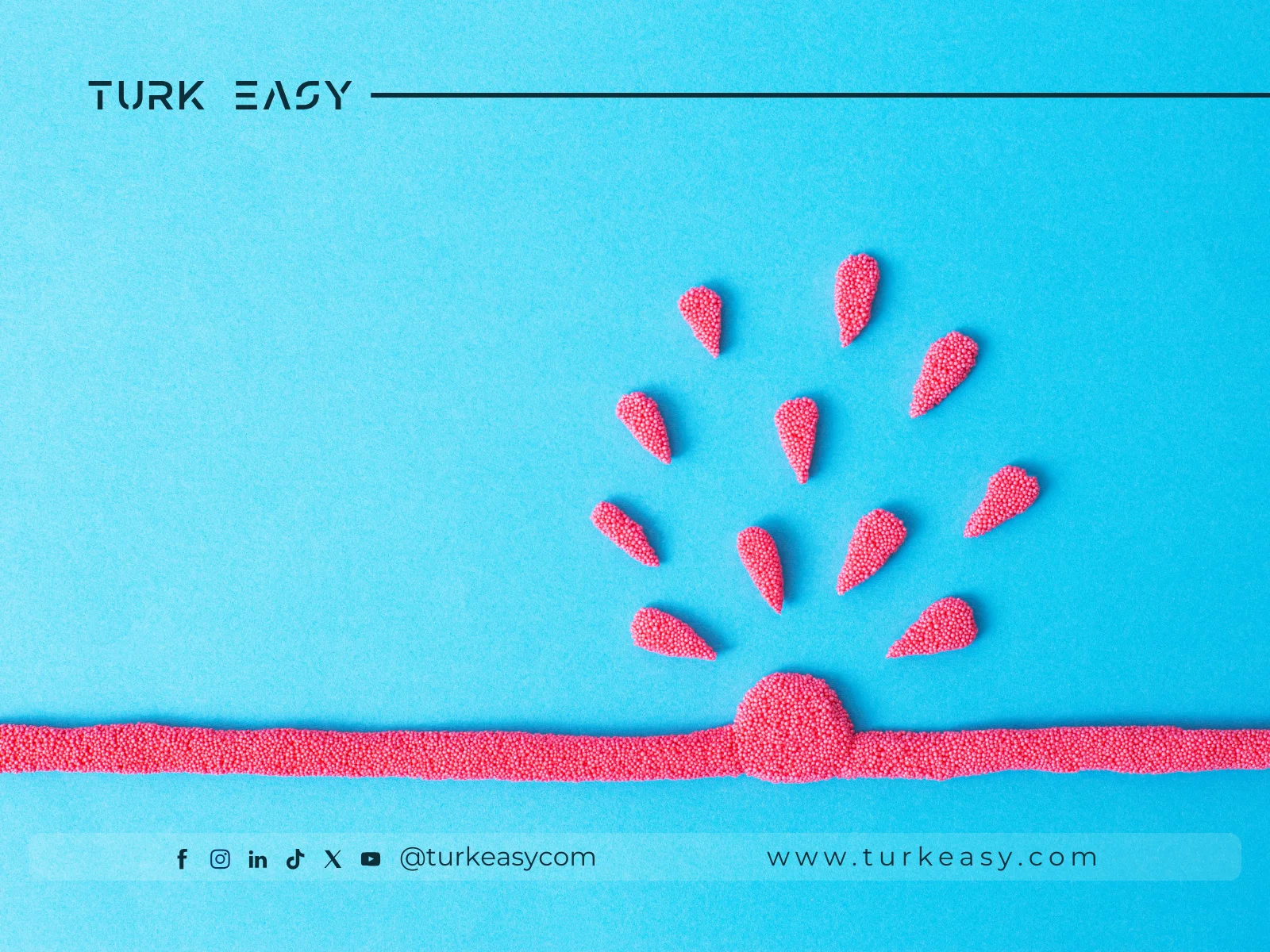 Vasküler Genişleme 2024 | Turk Easy