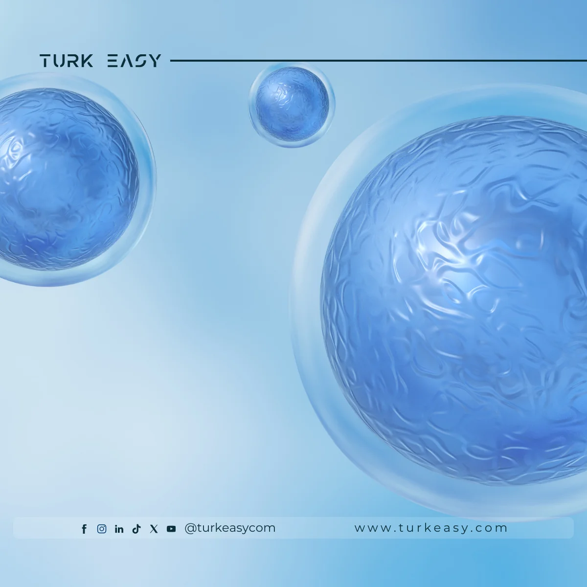 Transplantation de moelle osseuse et de cellules souches 2024 | Turk Easy