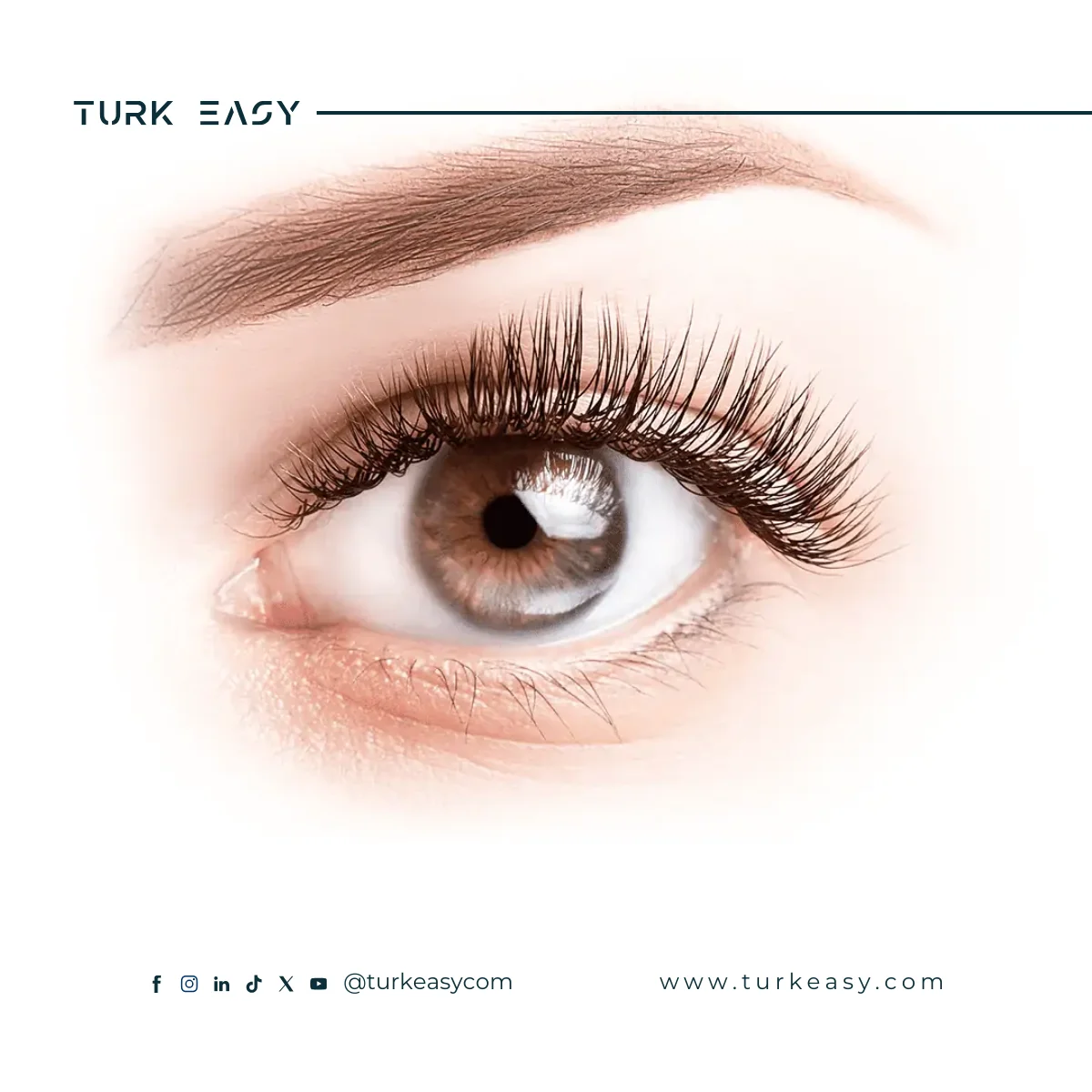 Transplantation de la cornée 2024 | Turk Easy