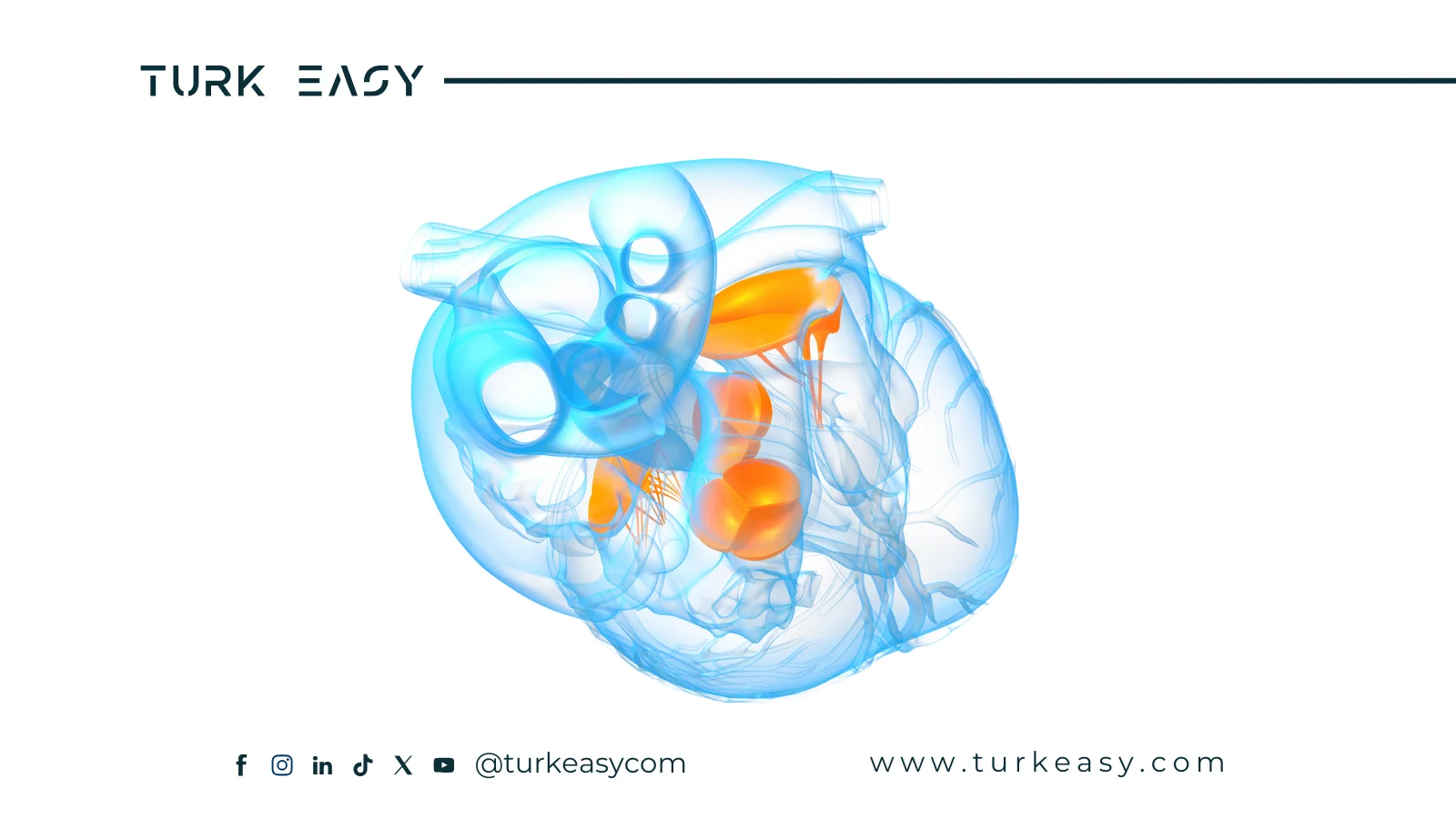 Хирургия клапана сердца 2024 | Turk Easy