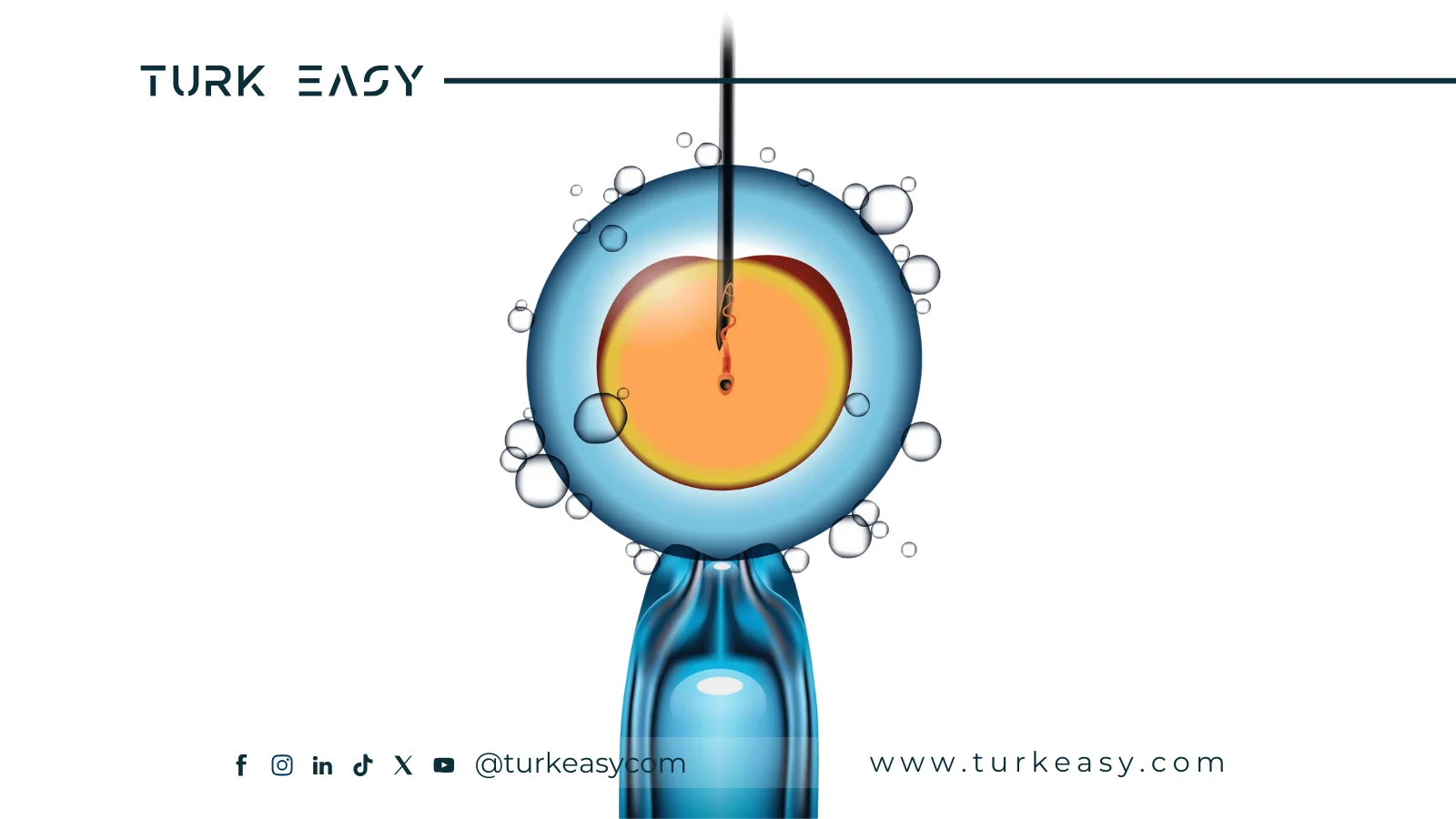 Mikro Enjeksiyon Arttırma 2024 | Turk Easy