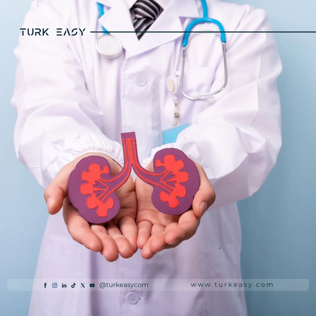 Kidney Transplantation 2024 | Turk Easy