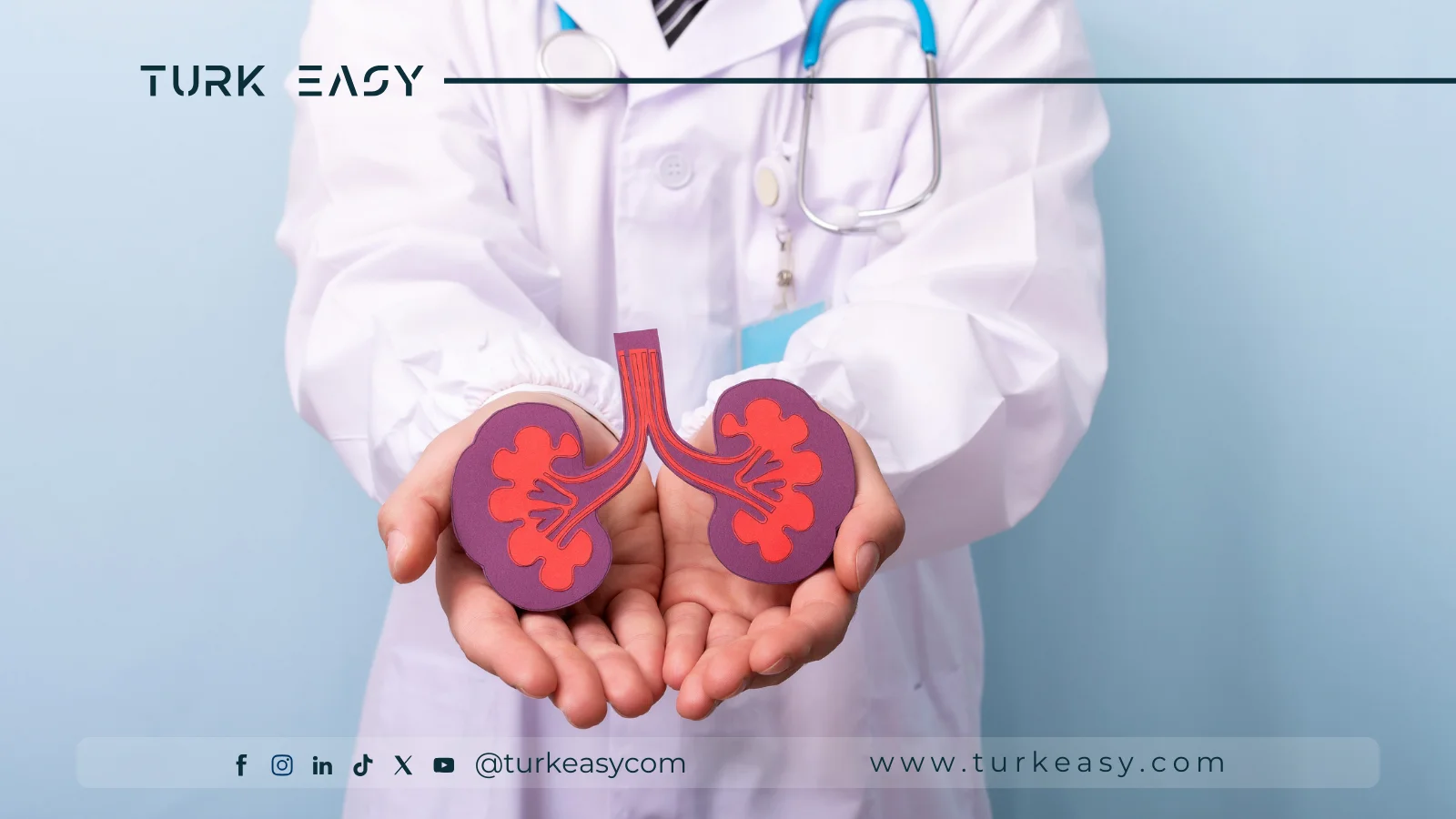 Kidney Transplantation 2024 | Turk Easy