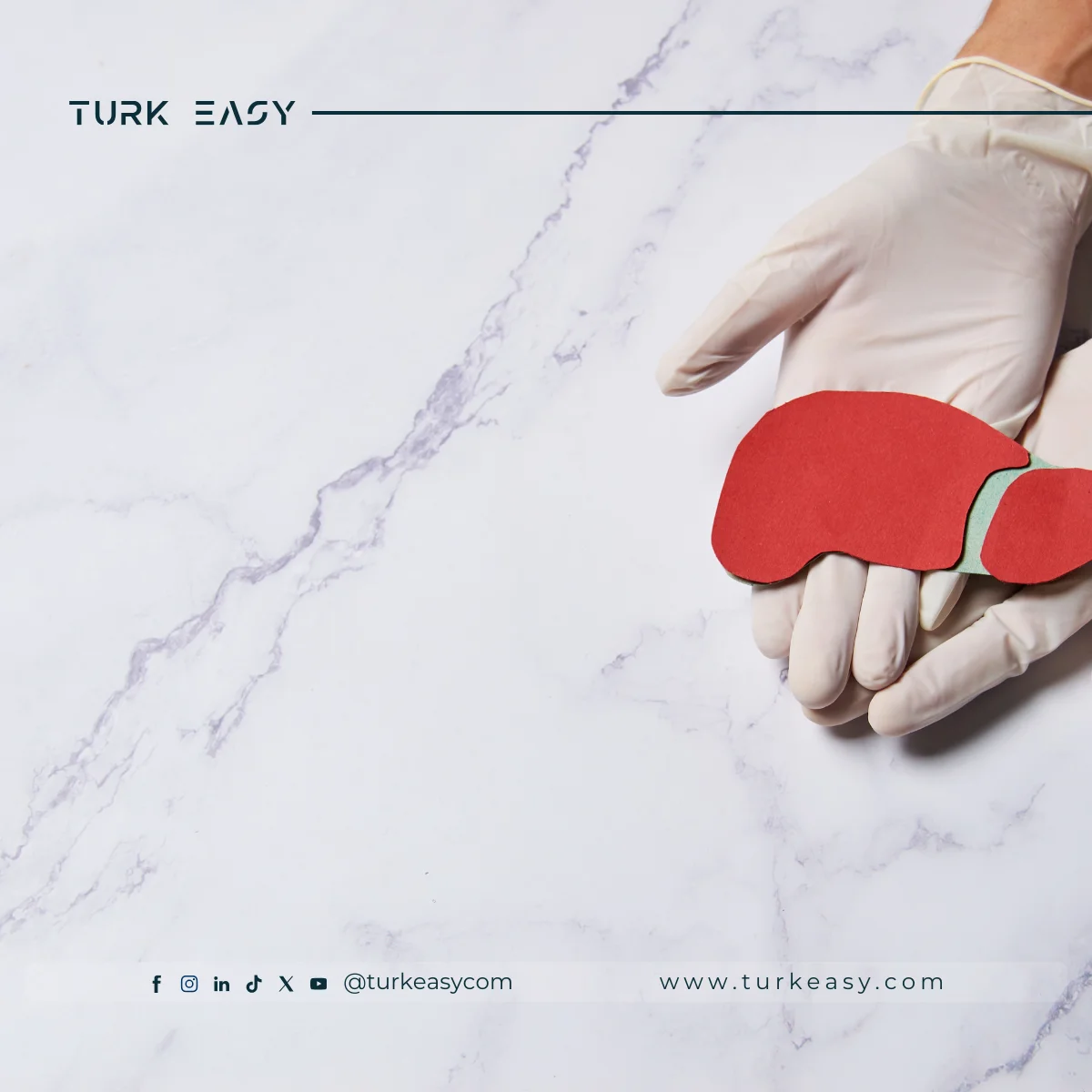 Transplantation du foie 2024 | Turk Easy