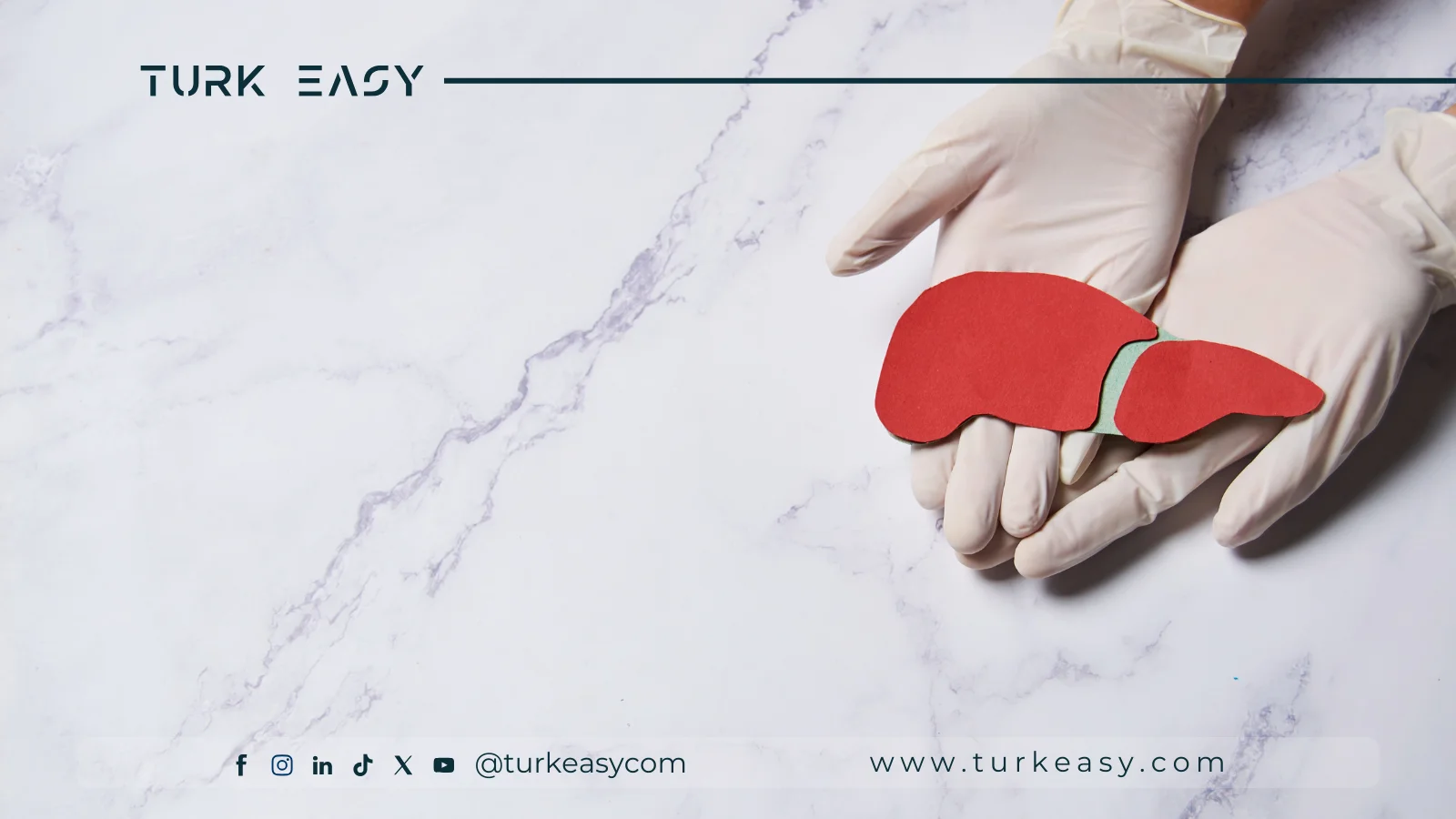 Пересадка печени 2024 | Turk Easy