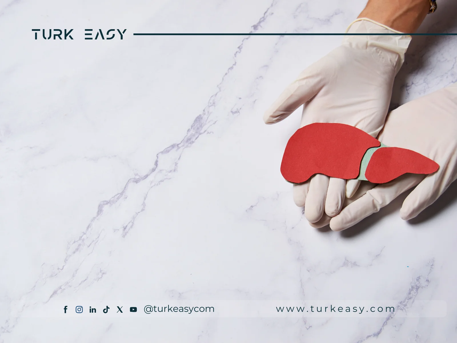 زراعة الكبد 2024 | Turk Easy