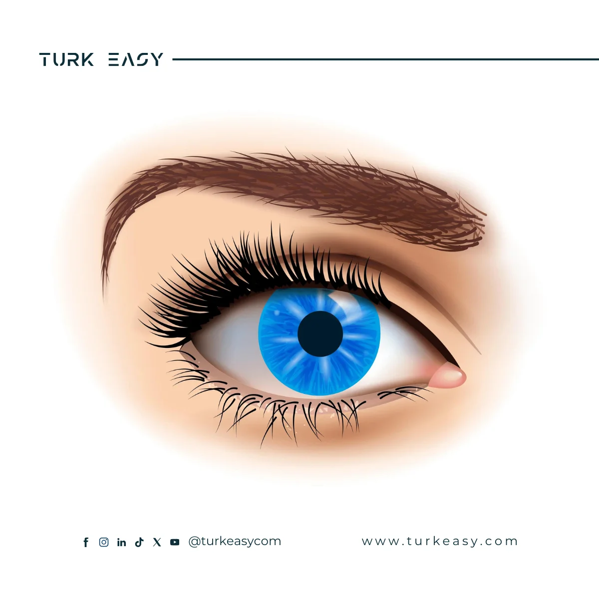 Chirurgie maculaire 2024 | Turk Easy