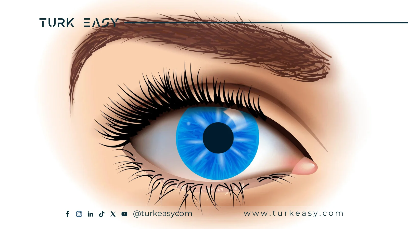Macular Surgery 2024 | Turk Easy