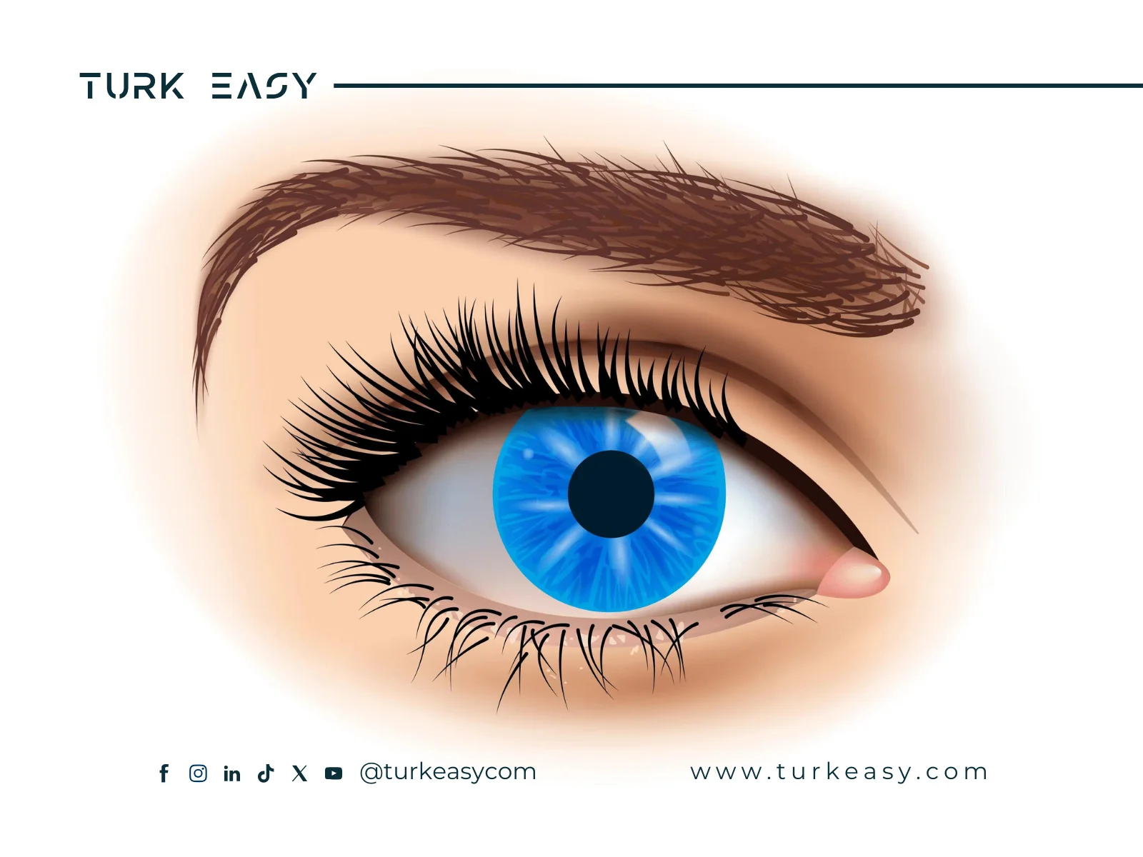 Macular Surgery 2024 | Turk Easy