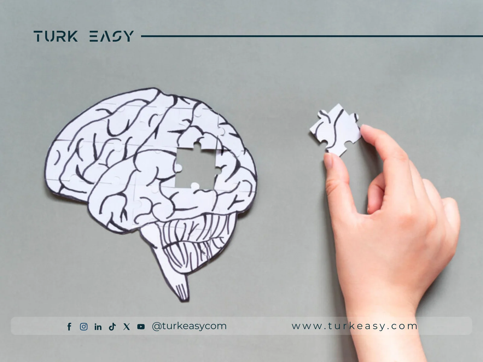 Rééducation neurologique 2024 | Turk Easy