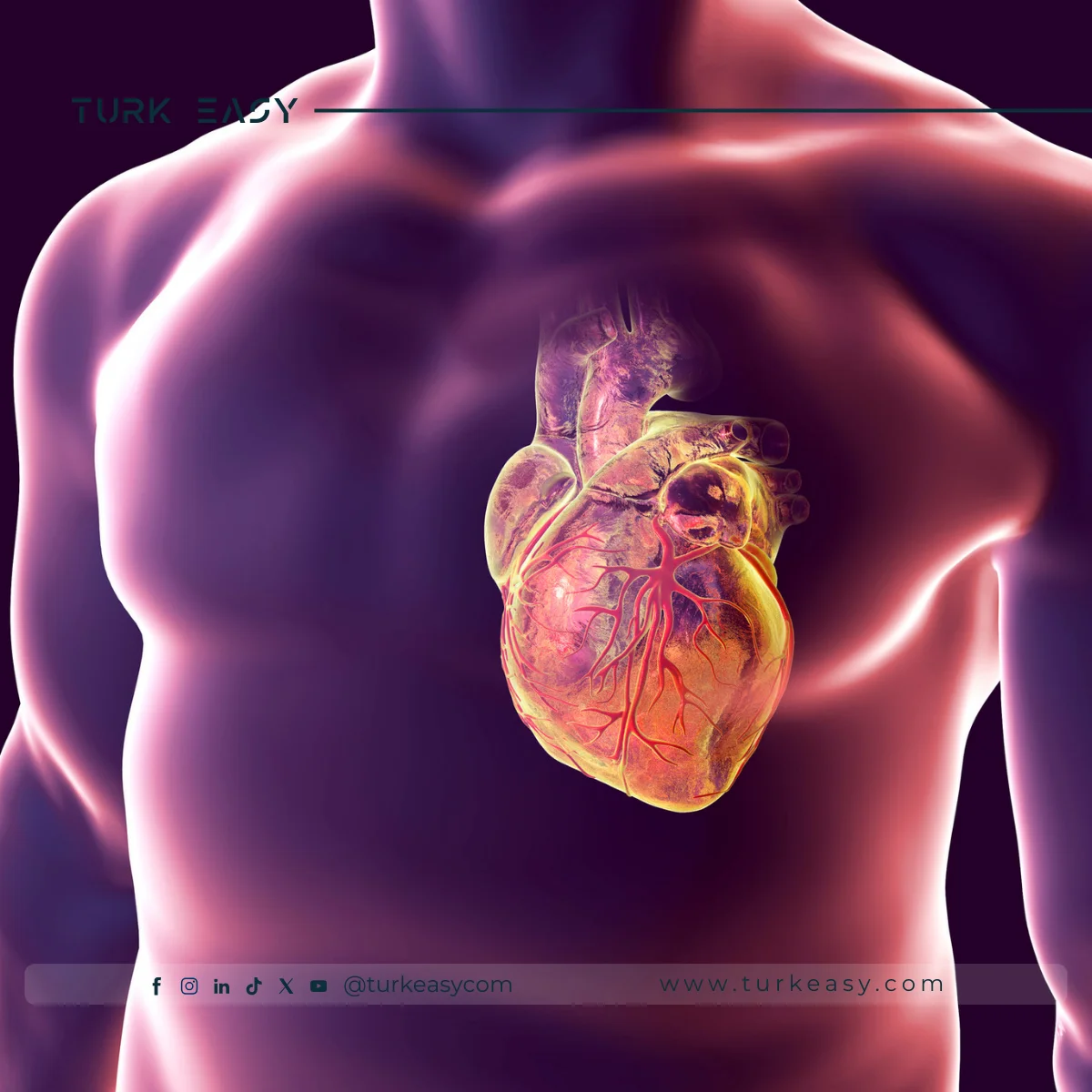 عمليات مجازة التاجي في القلب المفتوح 2024 | Turk Easy