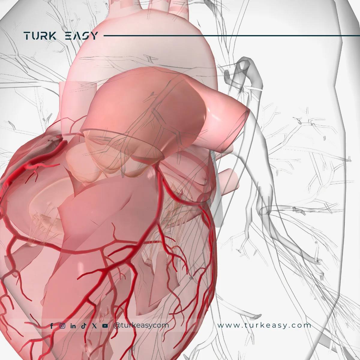 Peripheral Artery Catheterization 2024 | Turk Easy