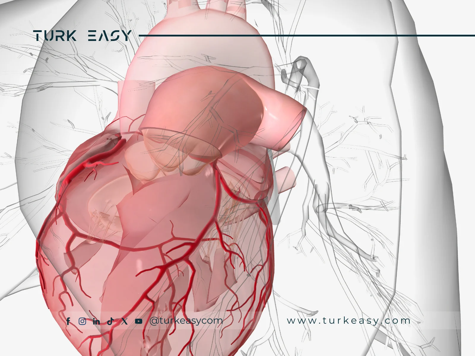 Peripheral Artery Catheterization 2024 | Turk Easy