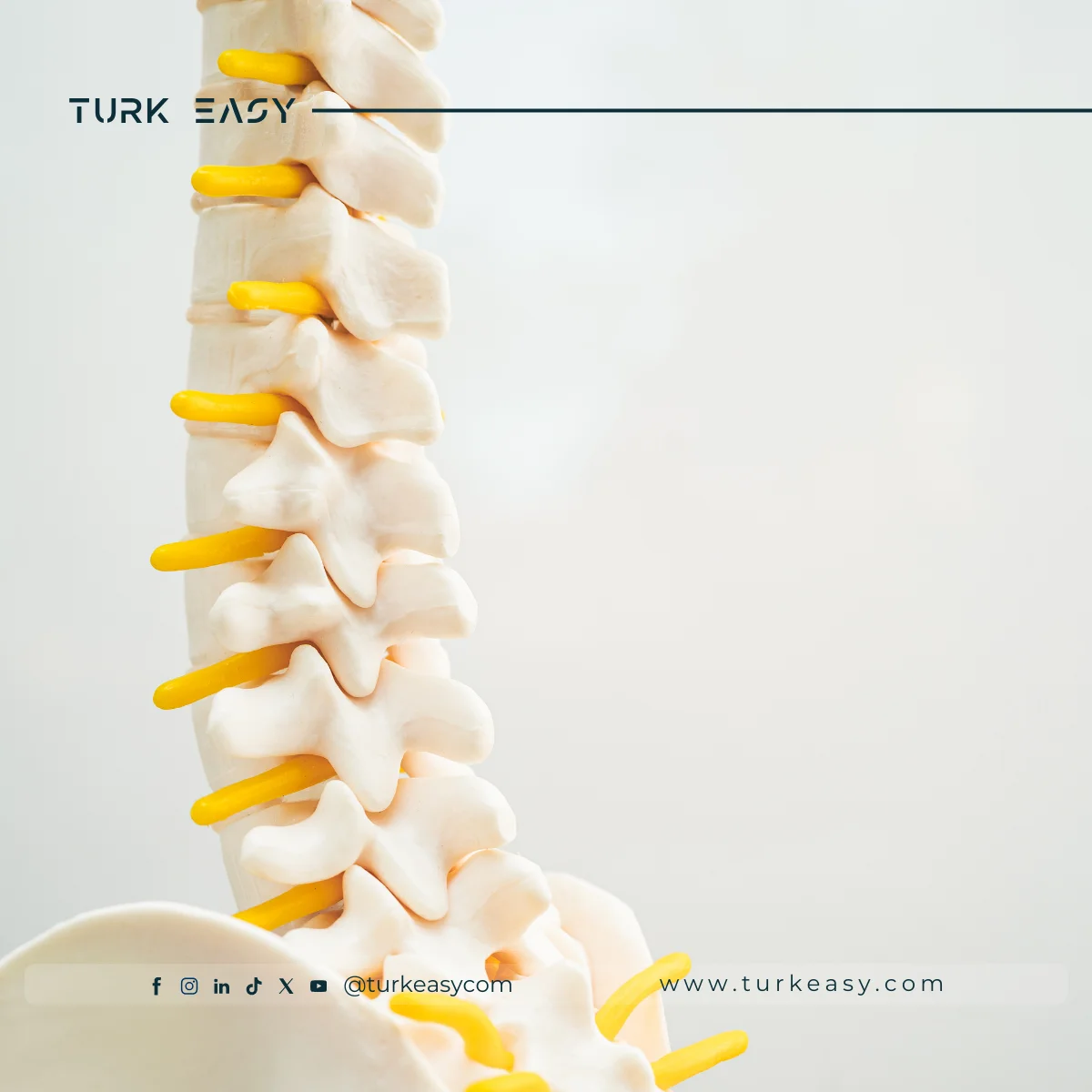Spinal Tumor Surgery 2024 | Turk Easy