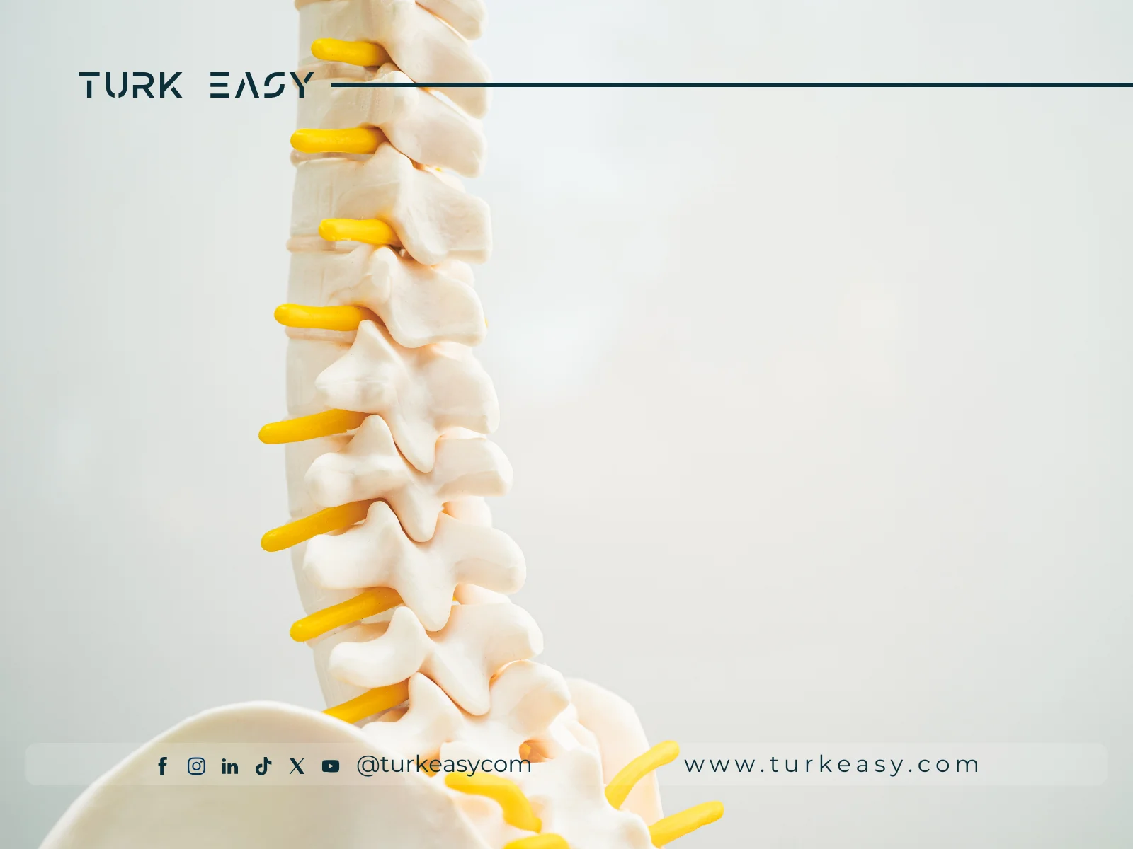 Spinal Tumor Surgery 2024 | Turk Easy
