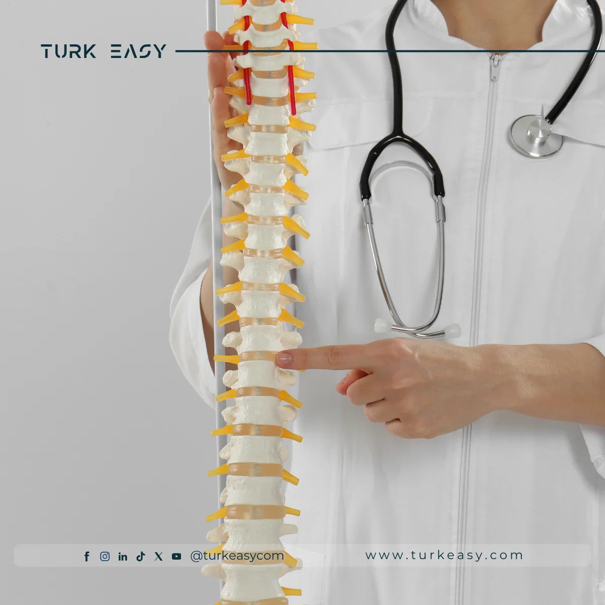 Chirurgie vertébrale 2024 | Turk Easy